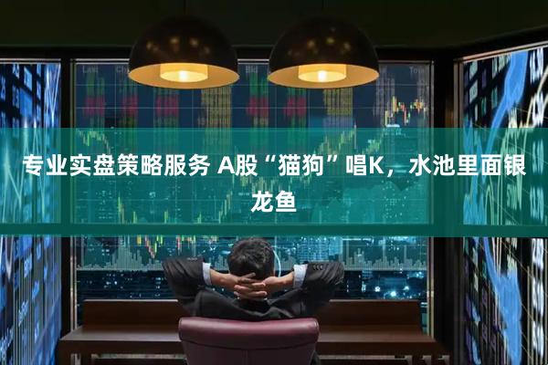 专业实盘策略服务 A股“猫狗”唱K，水池里面银龙鱼