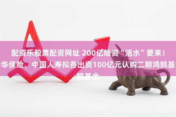 配资乐股票配资网址 200亿险资“活水”要来！新华保险、中国人寿拟各出资100亿元认购二期鸿鹄基金
